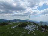 29. Orljak